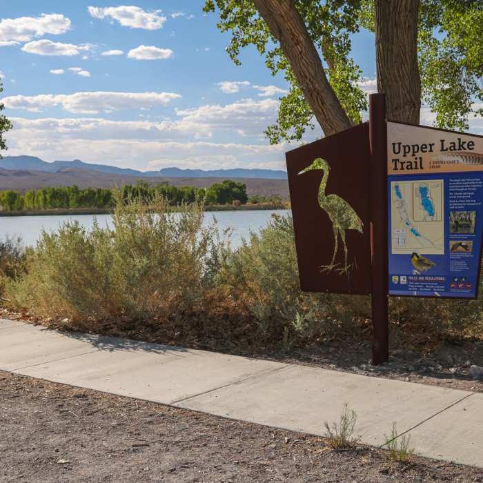 Near Upper Lake Trail Near Upper Lake Trail