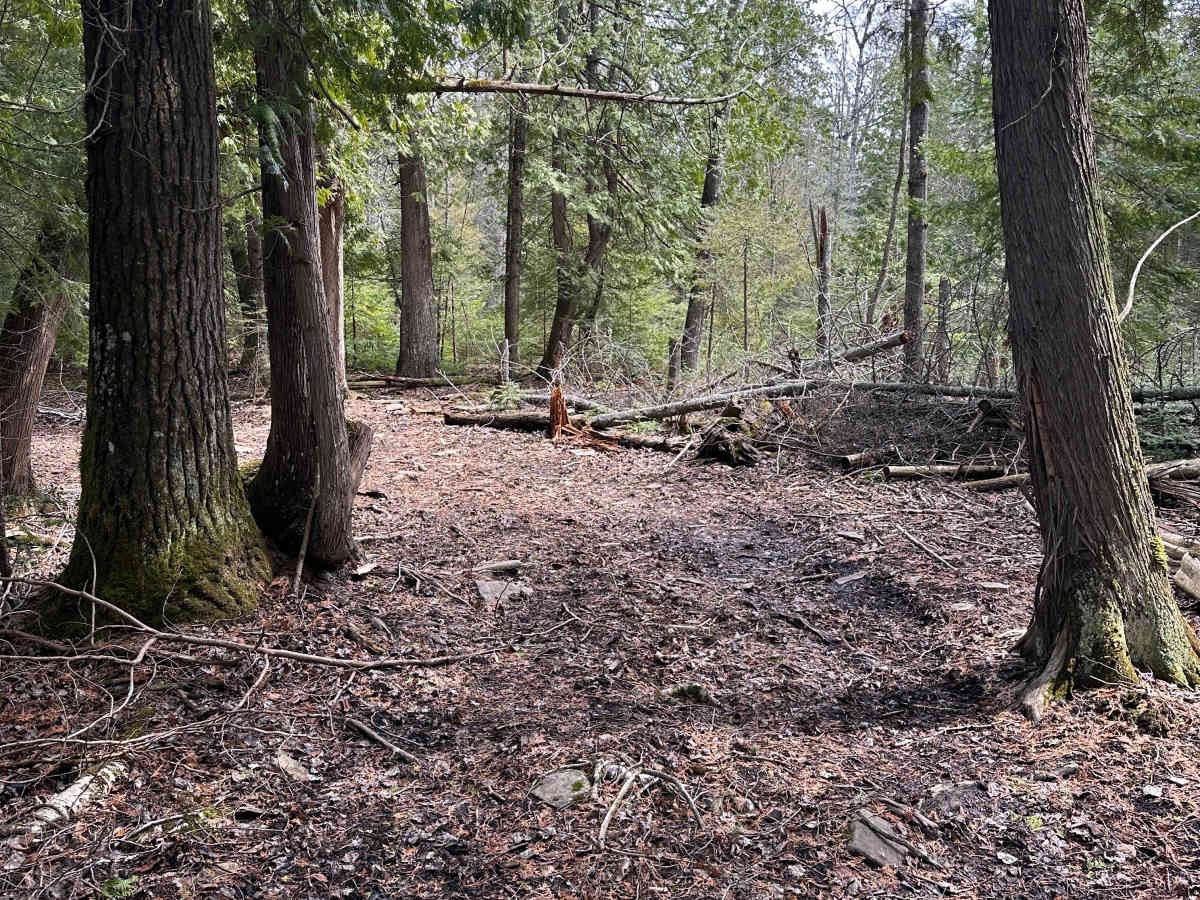 Lower Mud Run photo 3