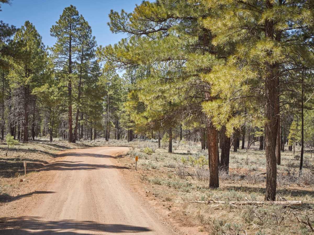 Red Skinner Road trail photo