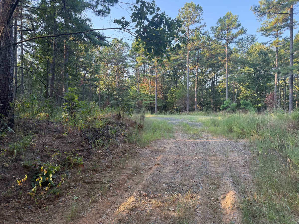 Flat Ridge Spur photo 6