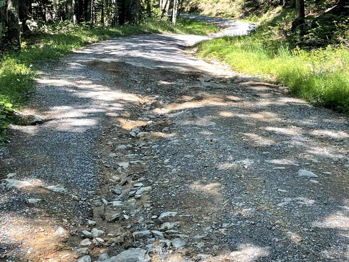 Hale Lake Road photo 5