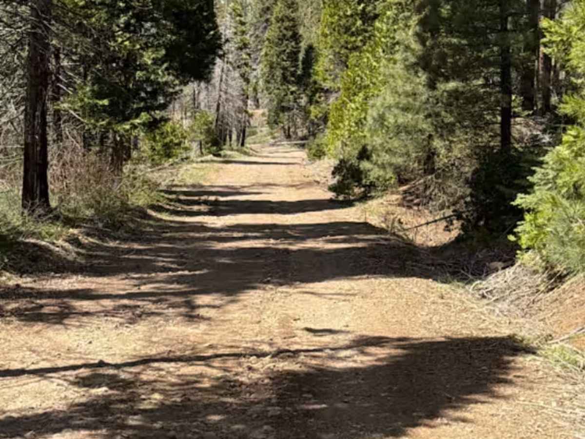 Carpenter Creek - FS 11N47 trail photo