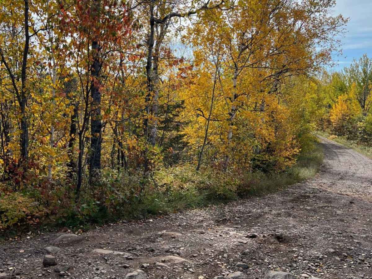 Temperance River Backroad Scenic Drive photo 4