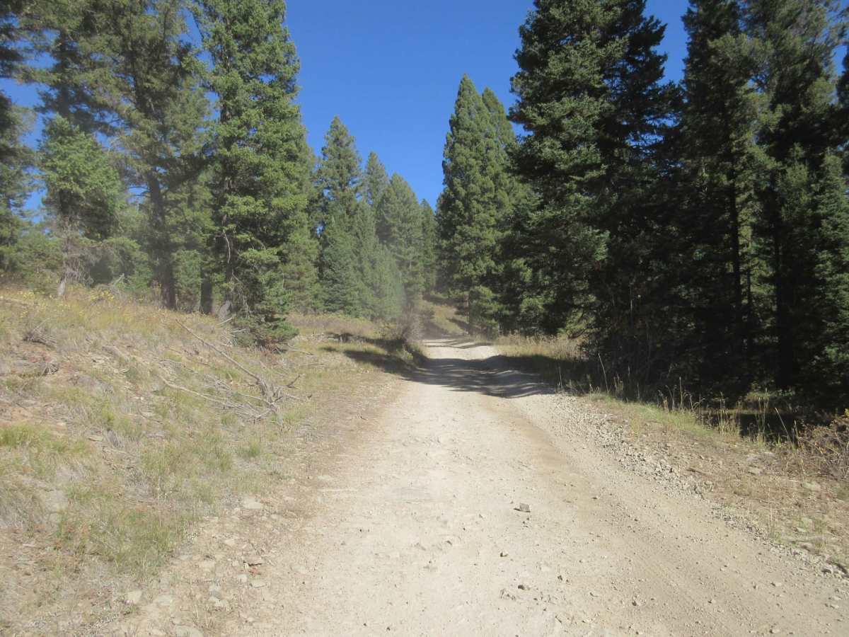 Keg Springs (Forest Service 046) photo 4