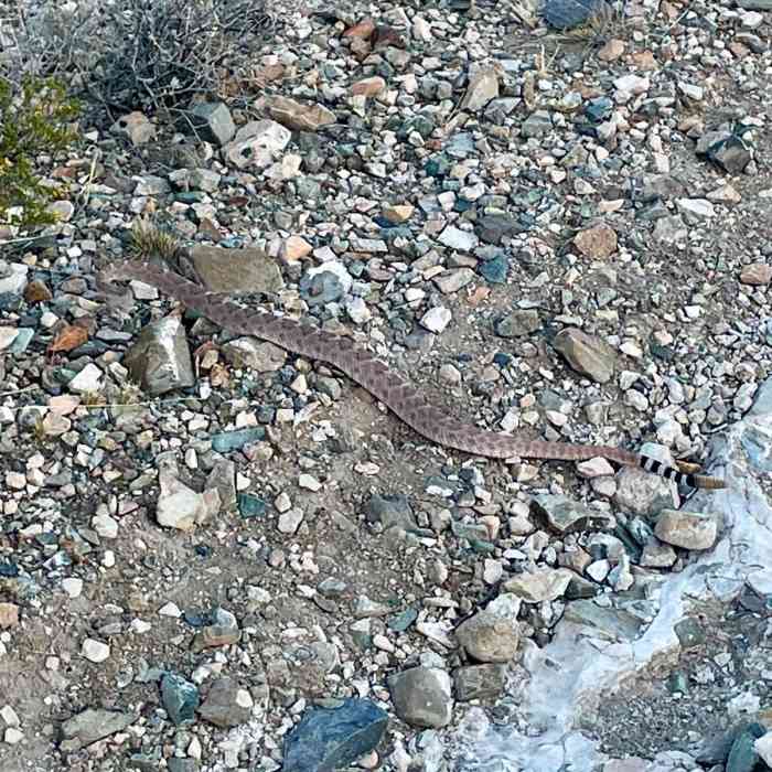 Near Continental Divide Trail: New Mexico Section 2
