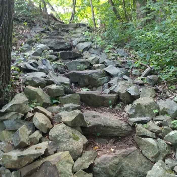Near Compton Peak from Jenkins Gap