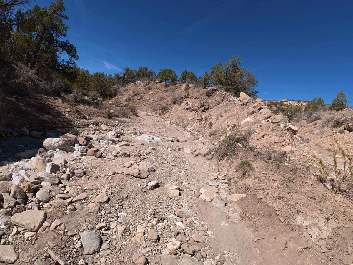 BLM 282 photo 6