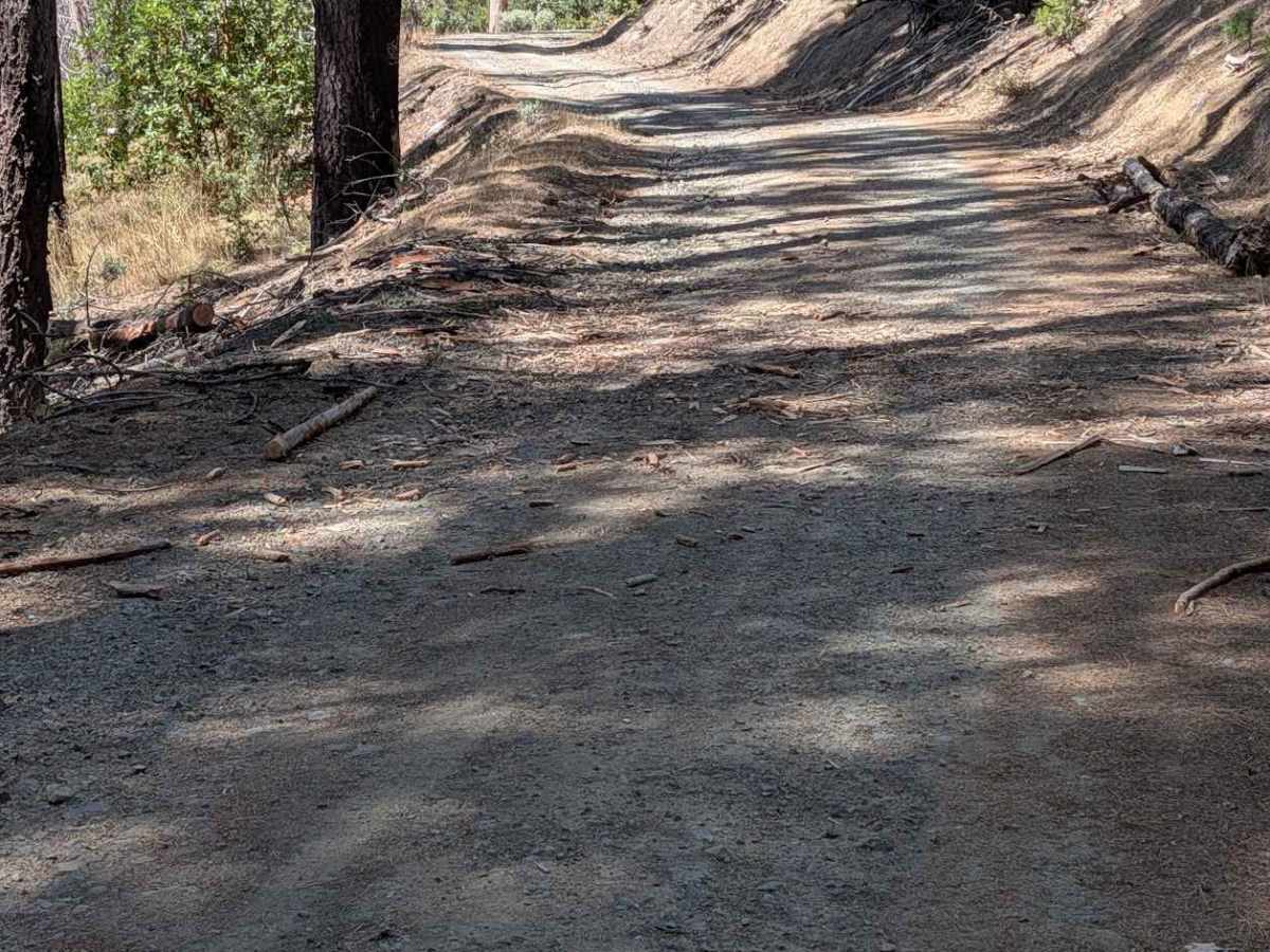 Bridge Gulch Road - FS 31N19  photo 5