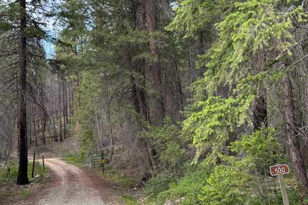 Junior Creek - FS 5010-500