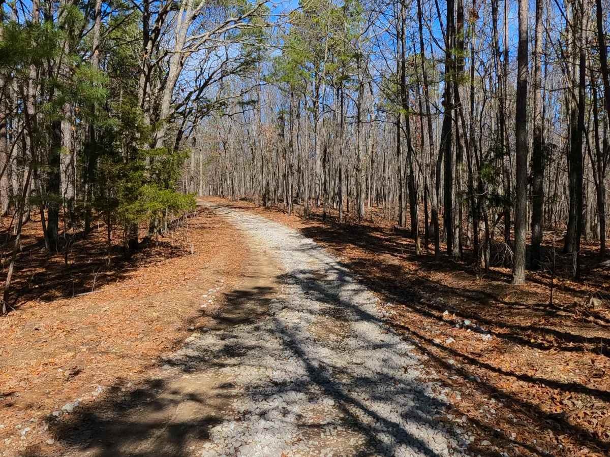 Flatwoods Spur B - FS 2438B photo 5