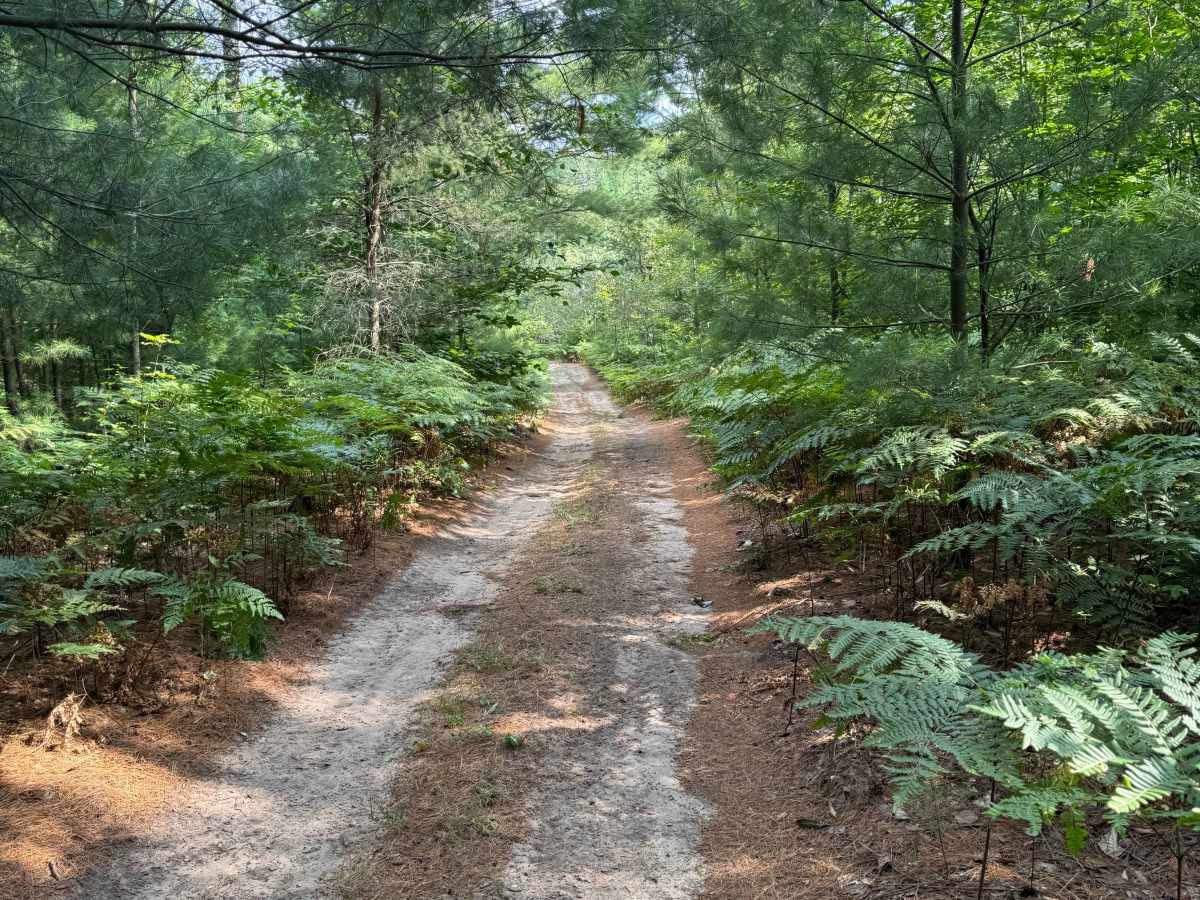 Healy-Henry North Trail trail photo