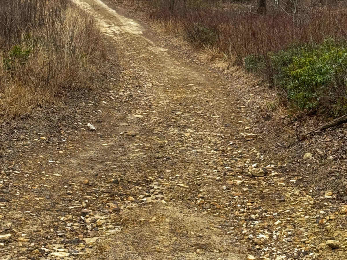 Slide Hollow Trail photo 6