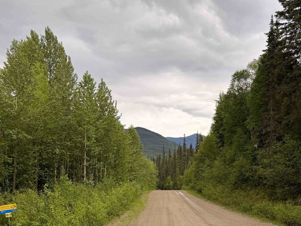 The Back Road photo 6