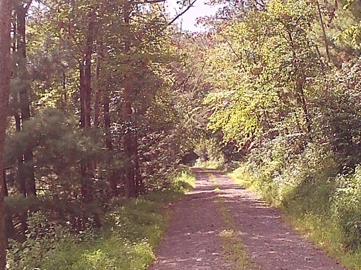 Old Mingle road photo 2