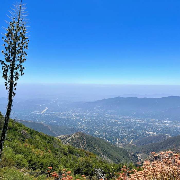 Near Grizzly Flat to Mount Lukens Near Grizzly Flat to Mount Lukens