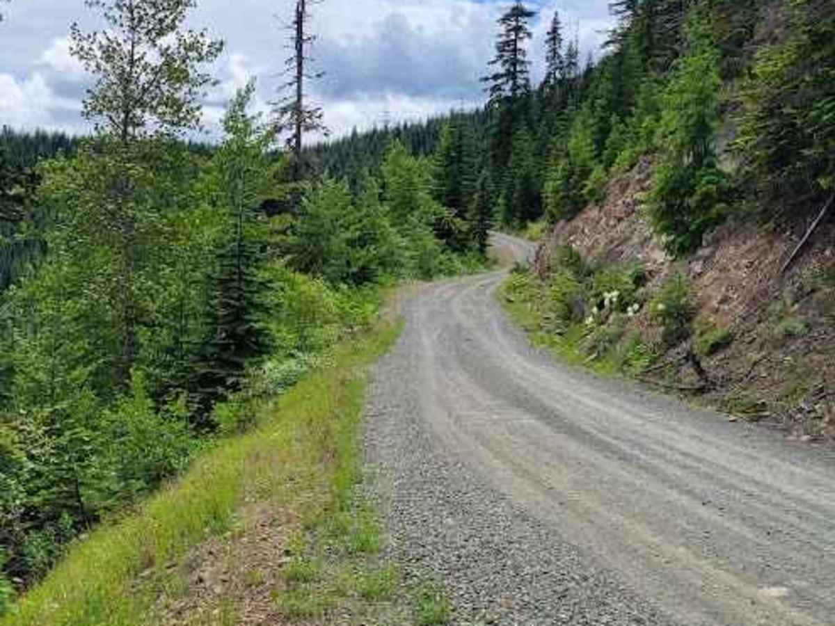 Cabin Creek Road (NF-41) photo 5