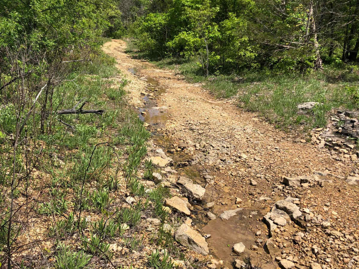 Racetrack Ridge  photo 4