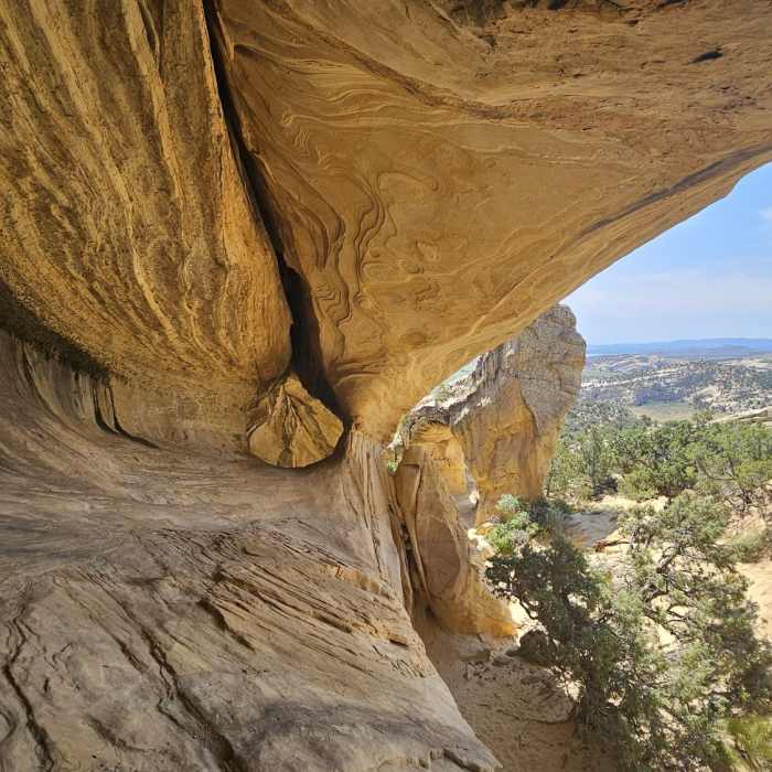 Near Moonshine Arch Trail