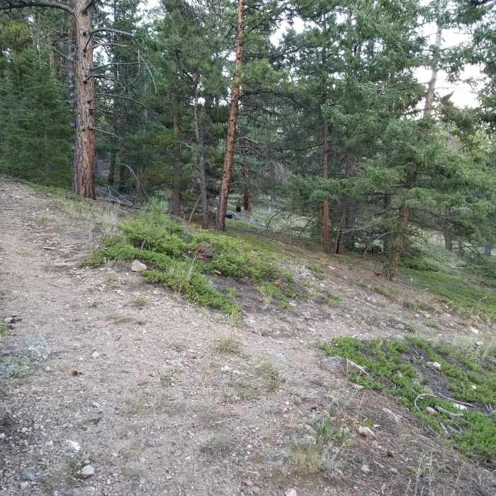 After 1.5 miles, descend the foot trail toward the right into the gully. Near Bergen Peak State Wildlife Area