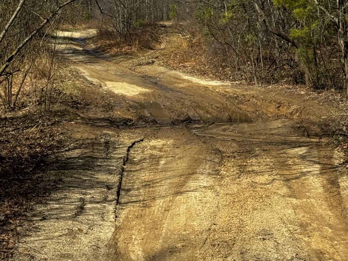 McClosky Road photo 6