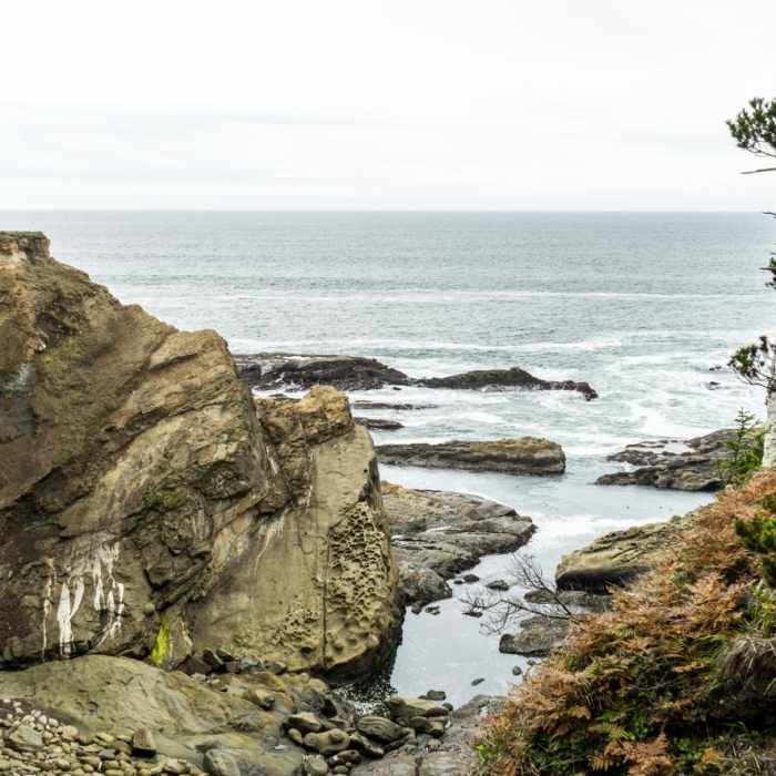 Near Shore Acres Loop Trail