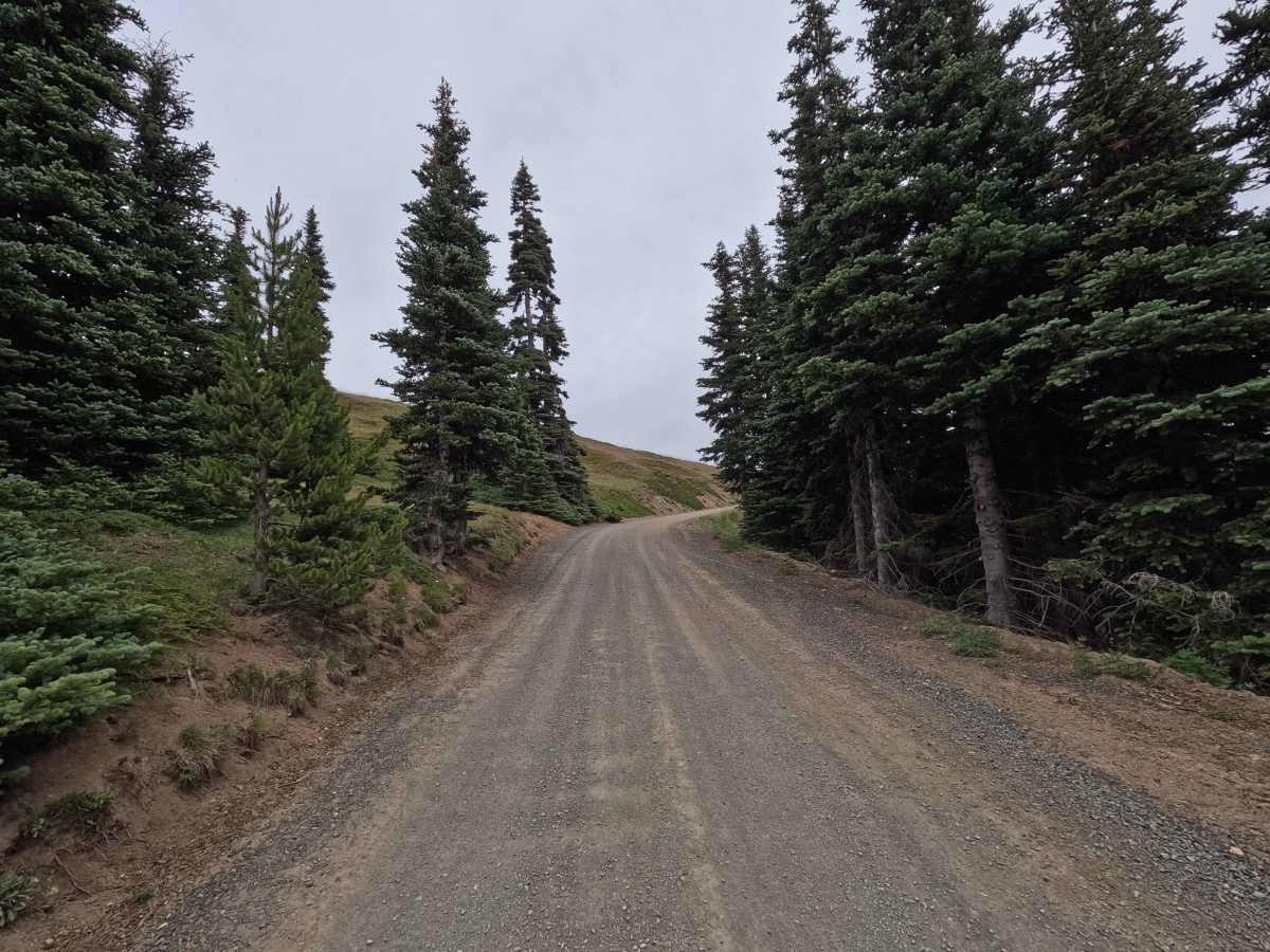 Deer Park Road photo 5