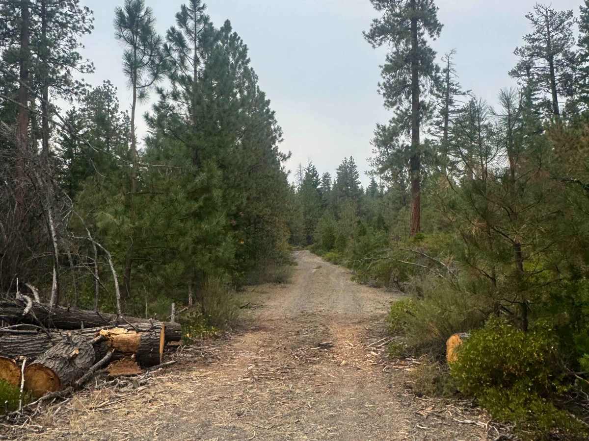 FS 1158-480 trail photo