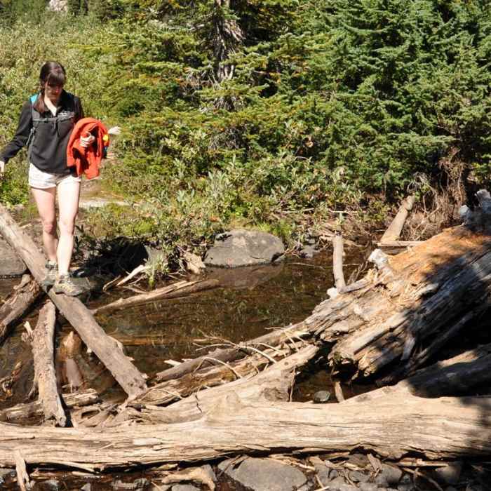 Near Lake Ann via Maple Pass Loop