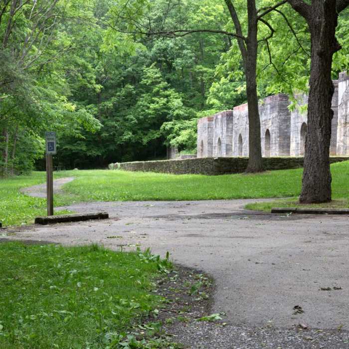 Near Limestone Trail