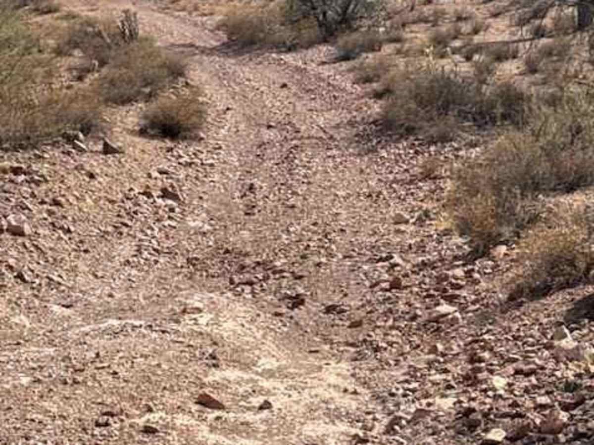 BLM 38070 photo 2