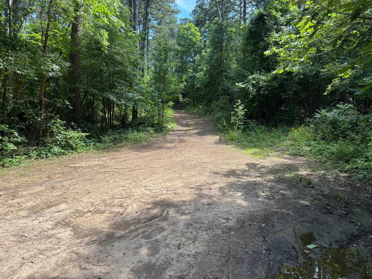 Howard trail photo