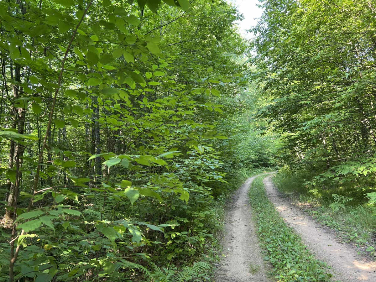 Camp Hayes Road photo 6