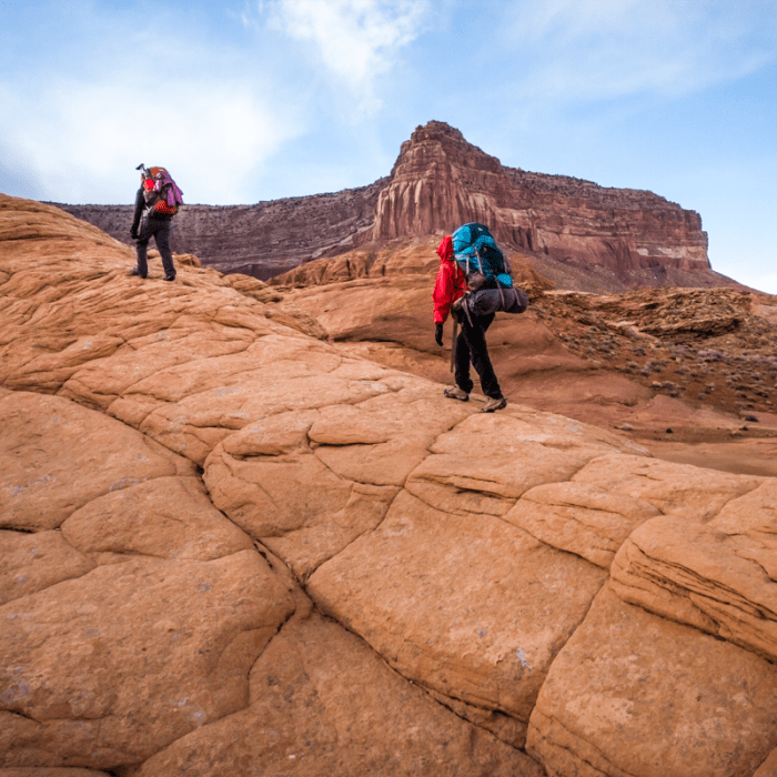 Near Reflection Canyon