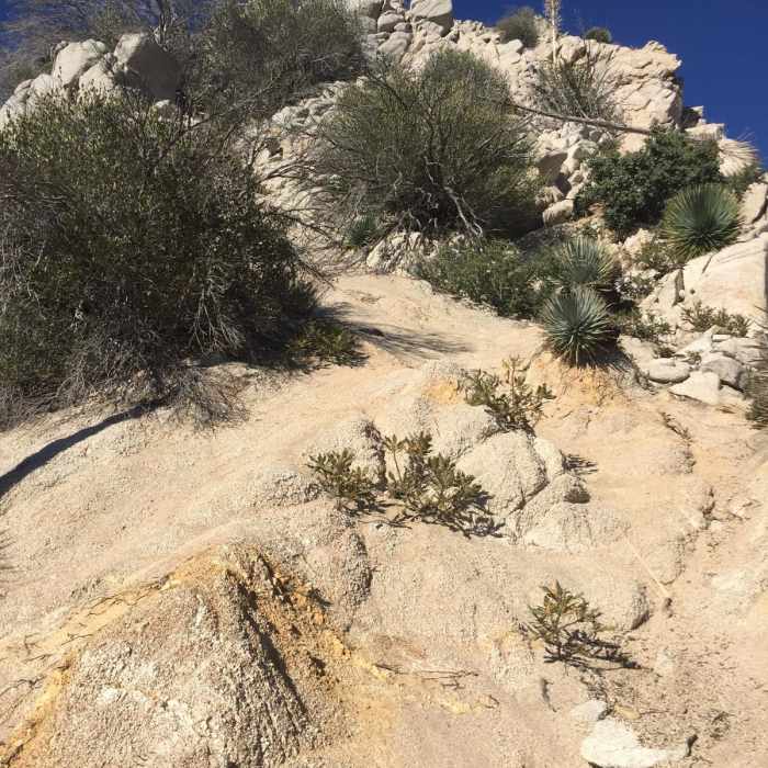 Near Strawberry Peak via Mountaineer's Route