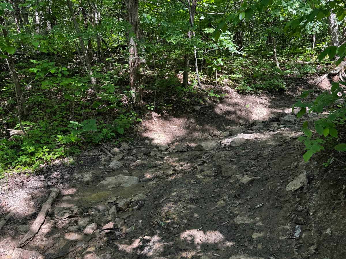 Trail Cut Thru photo 2