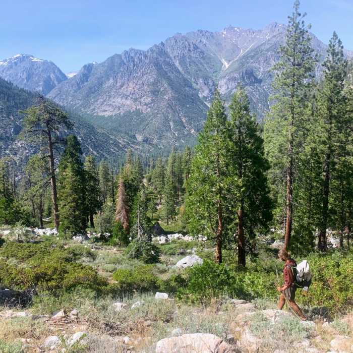 Near Simpson Meadow Trail