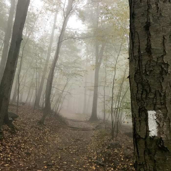 Near Annapolis Rock on the Appalachian Trail