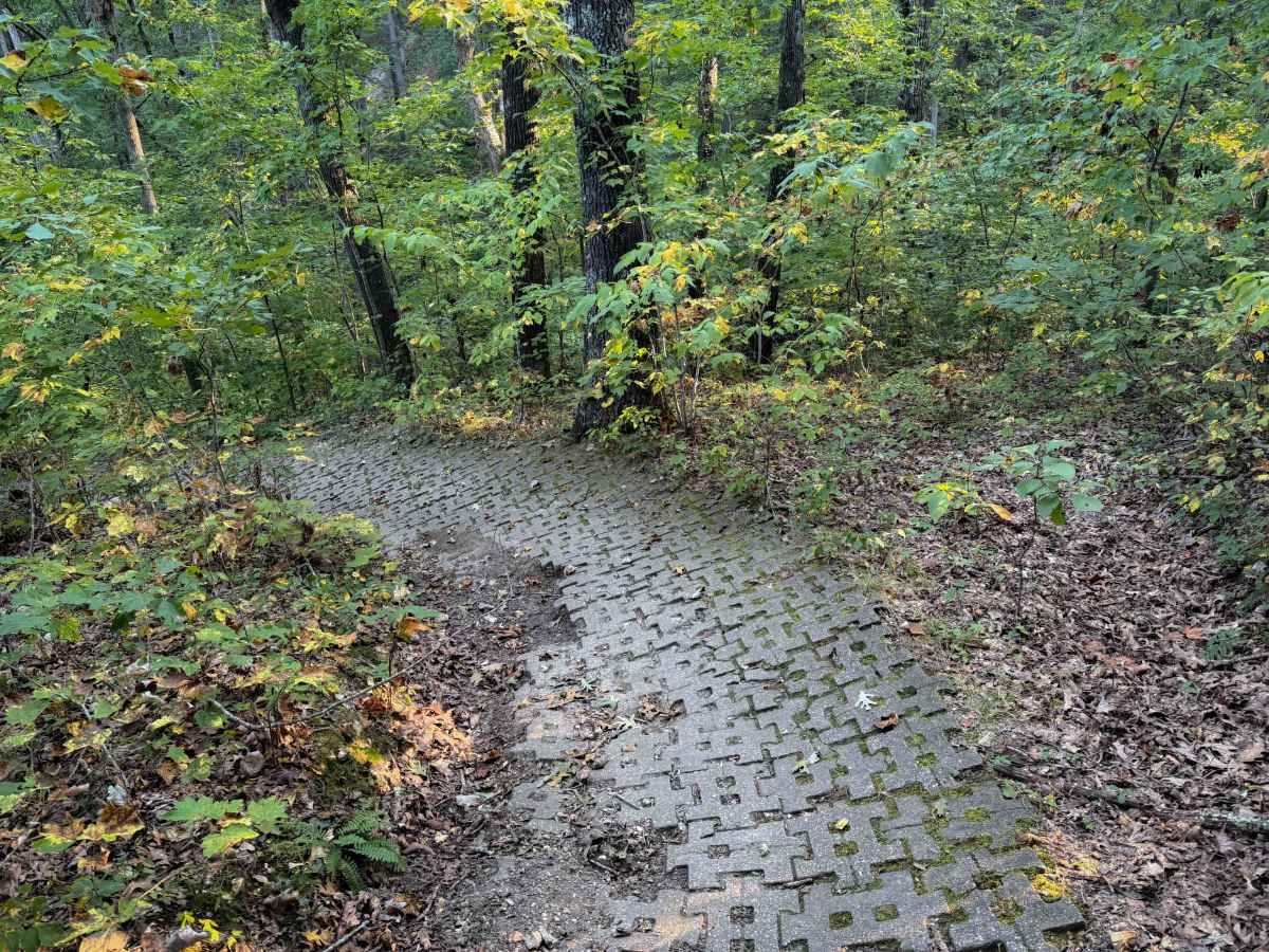 132a trail photo