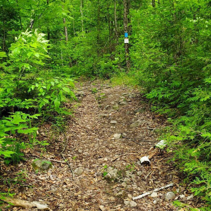 Near Trillium Trail