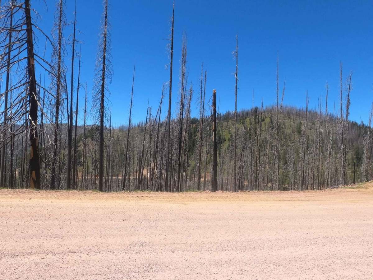 Skalkaho Highway / MT 38 photo 2