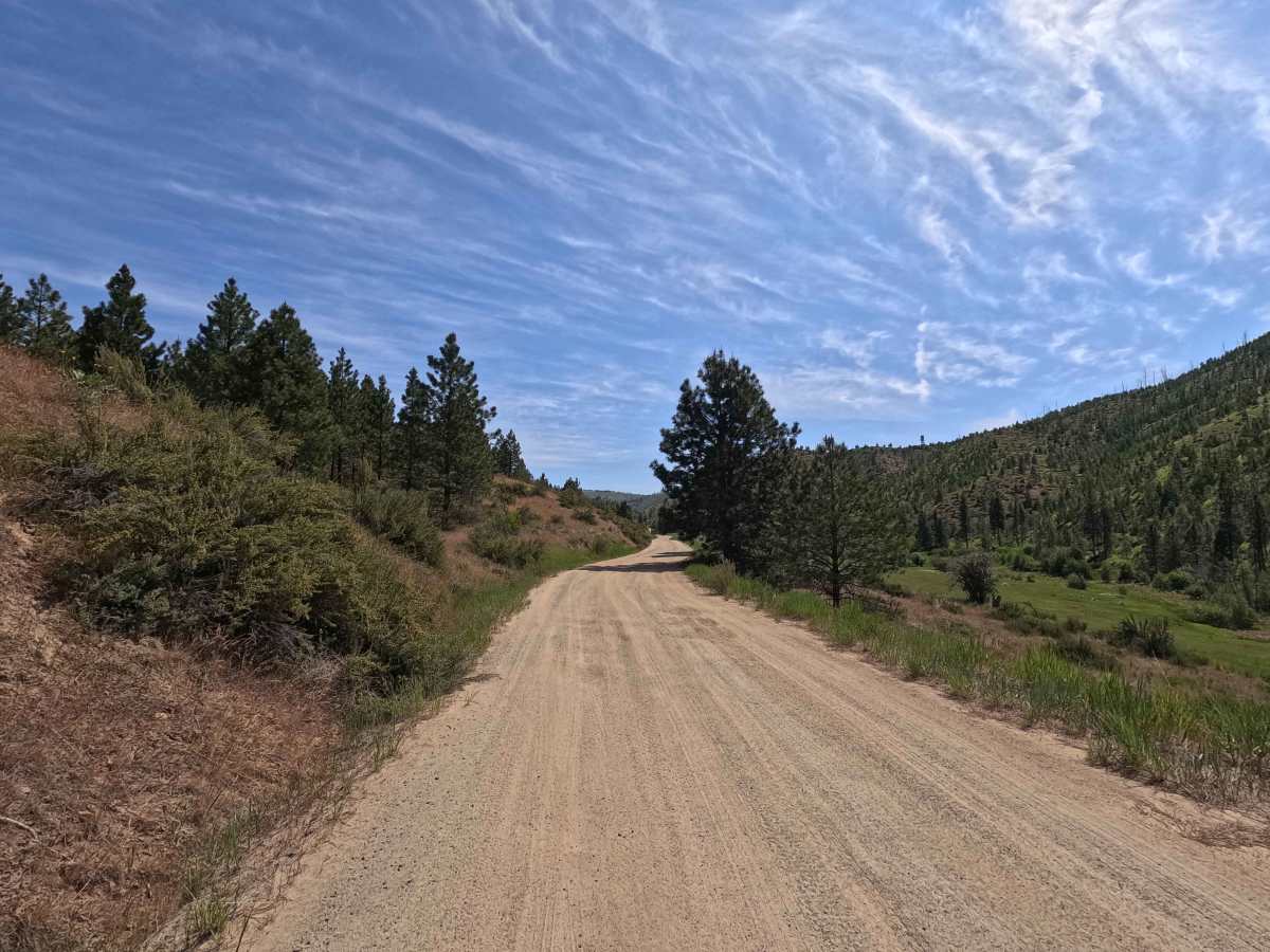 Mud Creek Road - FS 53 photo 3