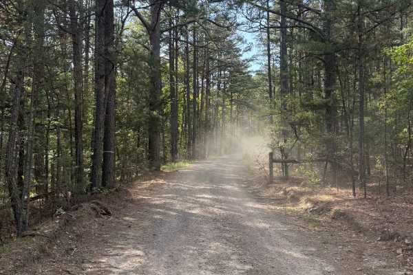 Piney War Trail