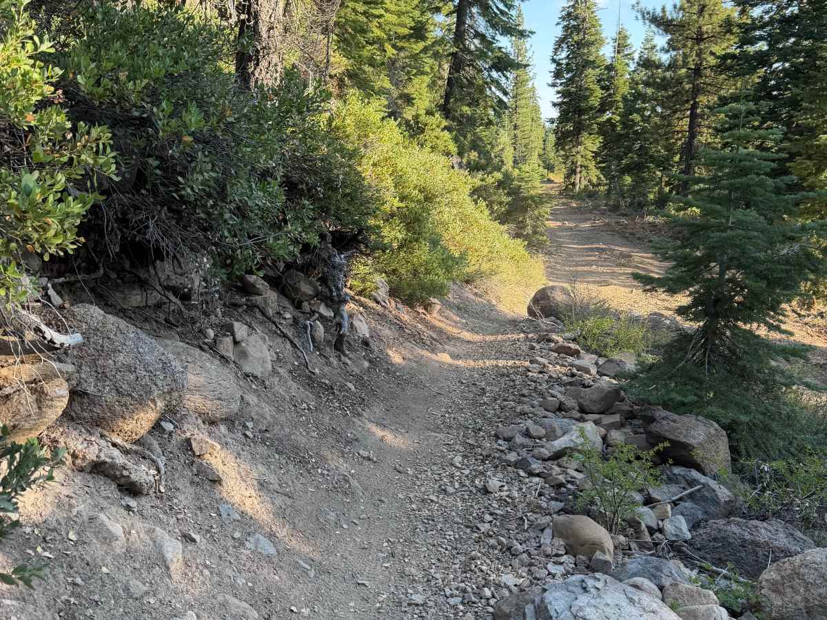 Powerline Connector trail photo