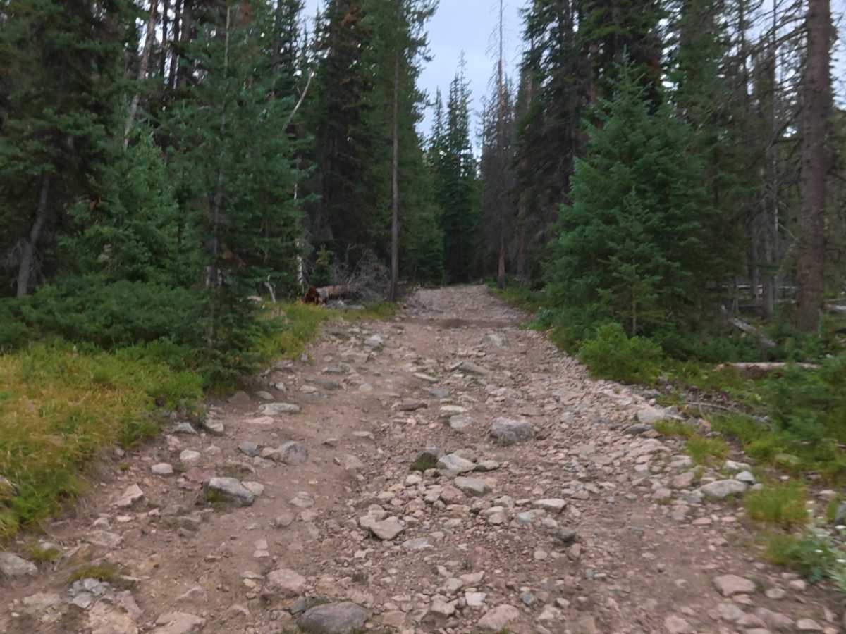Ruby Jewel Road North photo 5