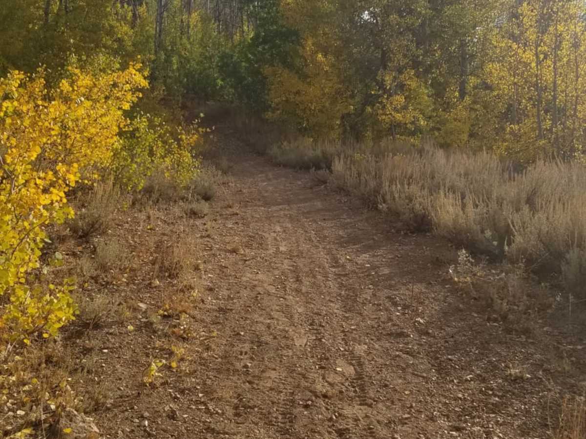 Peavine Prospector Run photo 2