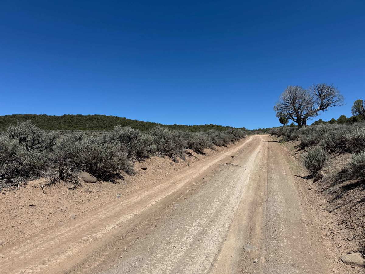 BLM 8480B photo 4
