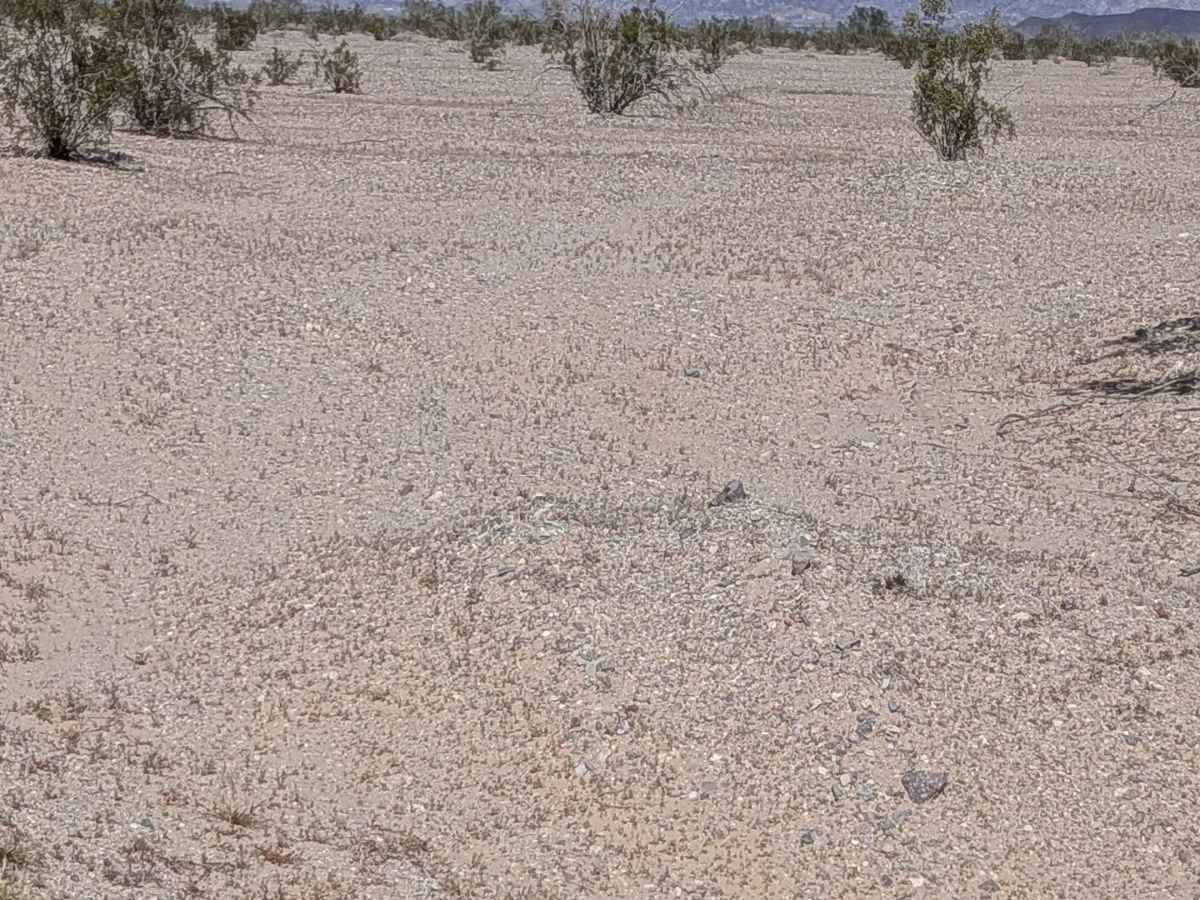 BLM 758 photo 5