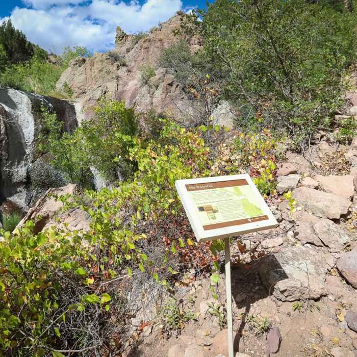 Near Waterfall Trail