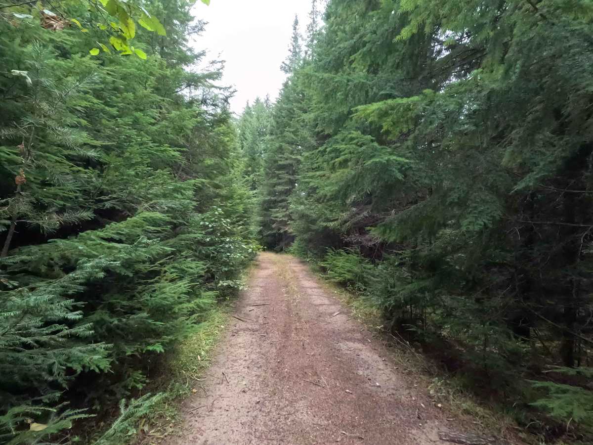 West Branch Flat Creek - FS 462 photo 3