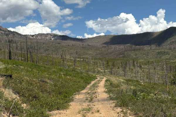 Kinney Creek
